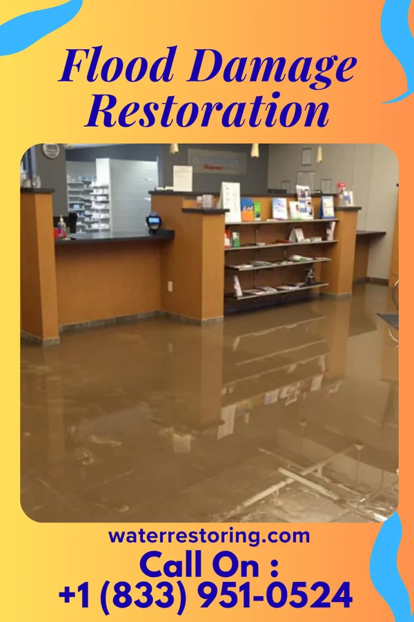 Flood Damage Restoration in Burton, TX